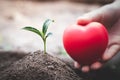 The red heart symbol is in the hands of young women and seedlings that grow from fertile soil. Concept of complete environmental