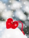 Red heart toy in snow on fir tree Royalty Free Stock Photo