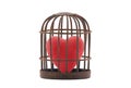 Red heart trapped in retro rusty cage