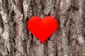 Red heart on a tree bark. Love nature concept Royalty Free Stock Photo