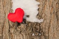 Red heart on tree