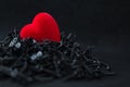 Red Heart Velvet on black prickly background Royalty Free Stock Photo