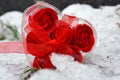 Red heart on white snow