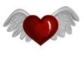 Red heart with white wings. Time for love a red heart. Valentines day background white pattern.