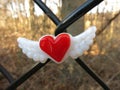Red heart with wings centered on chain link fence.