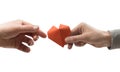 Red heart in woman and man hands. Image on isolated white background. Royalty Free Stock Photo