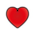 Red heart with zipper, vector illustration. Royalty Free Stock Photo