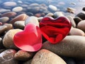 Red hearts on a background of gray stones