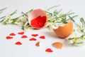Red hearts in the egg shell of a chicken egg on the background of blooming snowdrops, close-up Royalty Free Stock Photo