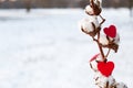 Red hearts and gossypium