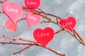 Red hearts with an inscription Love hang on branches on a gray concrete background. Love tree. The concept of Valentine's Day. A Royalty Free Stock Photo