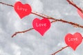 Red hearts with an inscription Love hang on branches on a gray concrete background. Love tree. The concept of Valentine's Day. A Royalty Free Stock Photo