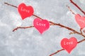 Red hearts with an inscription Love hang on branches on a gray concrete background. Love tree. The concept of Valentine's Day. A Royalty Free Stock Photo