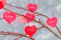 Red hearts with an inscription Love hang on branches on a gray concrete background. Love tree. The concept of Valentine's Day. A Royalty Free Stock Photo