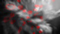 Red hearts on a monochrome background of blurry spots, 3D rendering Royalty Free Stock Photo