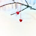 Red hearts on snowy tree branch in winter. Holidays happy valentines day celebration heart love concept. Royalty Free Stock Photo