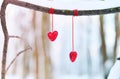 Red hearts on snowy tree branch in winter. Holidays happy valentines day celebration heart love concept. Royalty Free Stock Photo