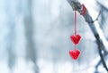 Red hearts on snowy tree branch in winter. Holidays happy valentines day celebration heart love concept Royalty Free Stock Photo