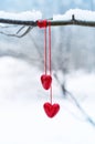 Red hearts on snowy tree branch in winter. Holidays happy valentines day celebration heart love concept Royalty Free Stock Photo