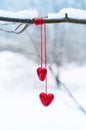 Red hearts on snowy tree branch in winter. Holidays happy valentines day celebration heart love concept