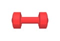 Red Heavy Dumbbell with Round Cylindrical Handle