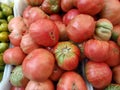 Red Heirloom Tomatoes for sale at farmers market Royalty Free Stock Photo