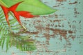 Red Heliconia Flower with Green Palm Leaves on Rustic Turquoise Blue Wood Background with Copy Space Royalty Free Stock Photo