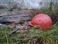 A red helmet lies on the ground at an abandoned construction site among glass, old metal and grass. Royalty Free Stock Photo