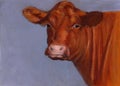 Red Beef Cow, Oil Pastel Painting