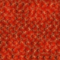 Red hexagon abstract background, hexagon pattern vector. Royalty Free Stock Photo