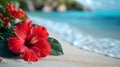 Red hibiscus flower on the beach with sea wave background Royalty Free Stock Photo