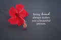 Red hibiscus flower with kindness quote - Being kind always makes you a beautiful person.