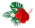 Red hibiscus flower with palm leaves isolated on white background. Vector illustration Royalty Free Stock Photo