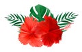 Red hibiscus flower with palm leaves isolated on white background. Vector illustration Royalty Free Stock Photo