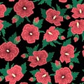 Red hibiscus flowers green leaves on black night background. Seamless floral pattern texture. Royalty Free Stock Photo