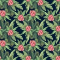 Red hibiscus flowers with tropical palm leaves on a black background. Watercolor illustration. Seamless pattern. For Royalty Free Stock Photo