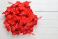 Red Hibiscus flowers on white wood table background with space f Royalty Free Stock Photo