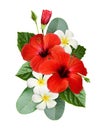 Red hibiscus and fragipani flowers with green leaves in a tropical arrangement