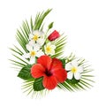 Red hibiscus and fragipani flowers with green tropical leaves in a corner exotic arrangement Royalty Free Stock Photo