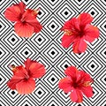 Red hibiscus tropical flowers on geometric background seamless pattern Royalty Free Stock Photo