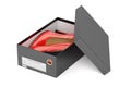 Red high heel shoes in the black shoeboxes, 3D rendering Royalty Free Stock Photo