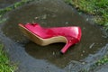 Red highheel abandoned on asphalt Royalty Free Stock Photo