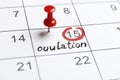 Red highlighter with ovulation day mark on calendar