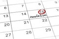 Red highlighter with ovulation day mark on calendar