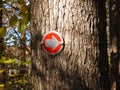 Red Hiking Trail Marker on tree to direct hikers in NYS FingerLakes region Royalty Free Stock Photo