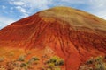 Red hill and desert plants Royalty Free Stock Photo