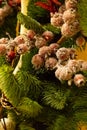 Red holly berries snow-covered festive close-up fluffy christmas fir-tree base greeting card