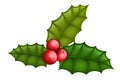 Red holly berry with green leaf