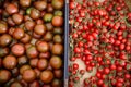 Red homegrown tomatoes and cherry on local farmer agricultural market or supermarket. Healthy vegetarian food. Storage, delivery Royalty Free Stock Photo