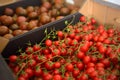 Red homegrown tomatoes and cherry on local farmer agricultural market or supermarket. Healthy vegetarian food. Storage, delivery Royalty Free Stock Photo